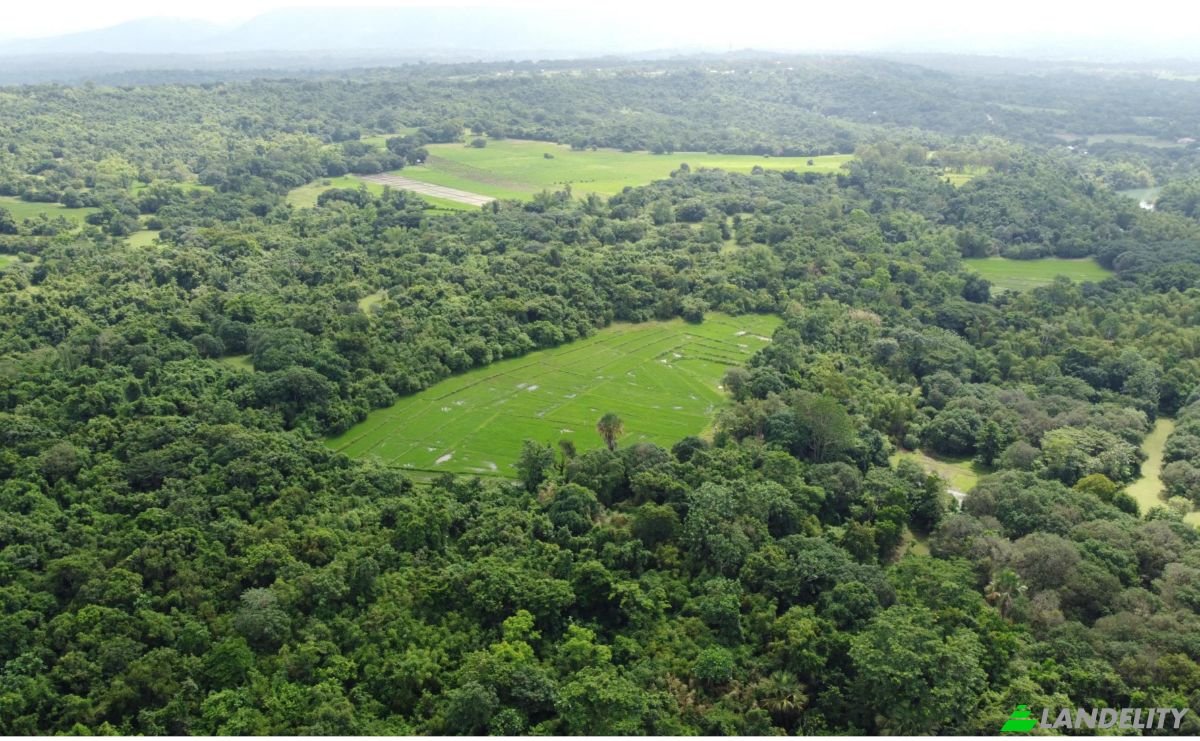 Investing/Development for Sale Palauig, Zambales, Central Luzon, Philippines. Photo 2