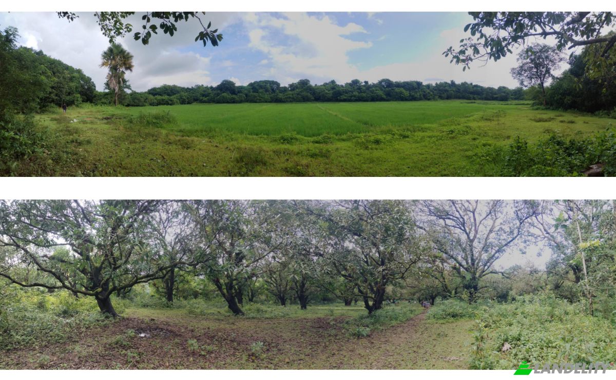Investing/Development for Sale Palauig, Zambales, Central Luzon, Philippines. Photo 5