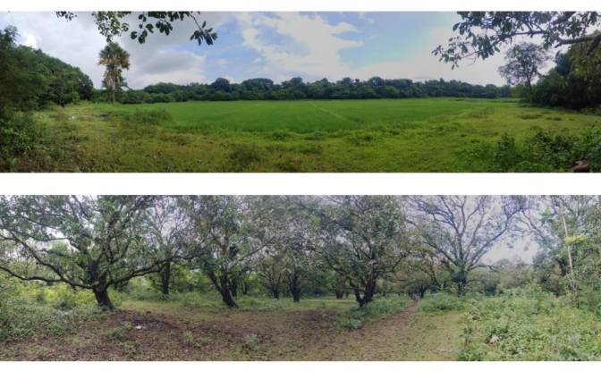 Investing/Development for Sale Palauig, Zambales. Photo#5