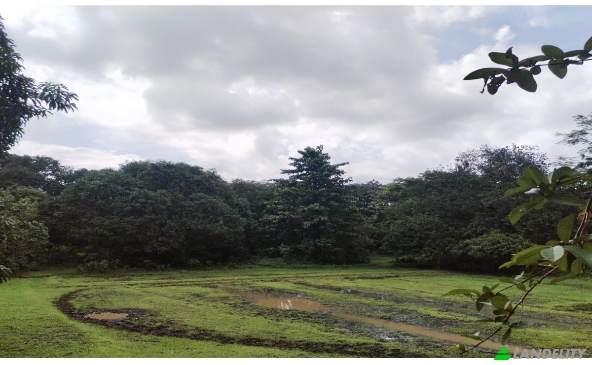 Investing/Development for Sale Palauig, Zambales, Central Luzon, Philippines. Photo 7