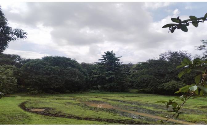 Investing/Development for Sale Palauig, Zambales. Photo#7