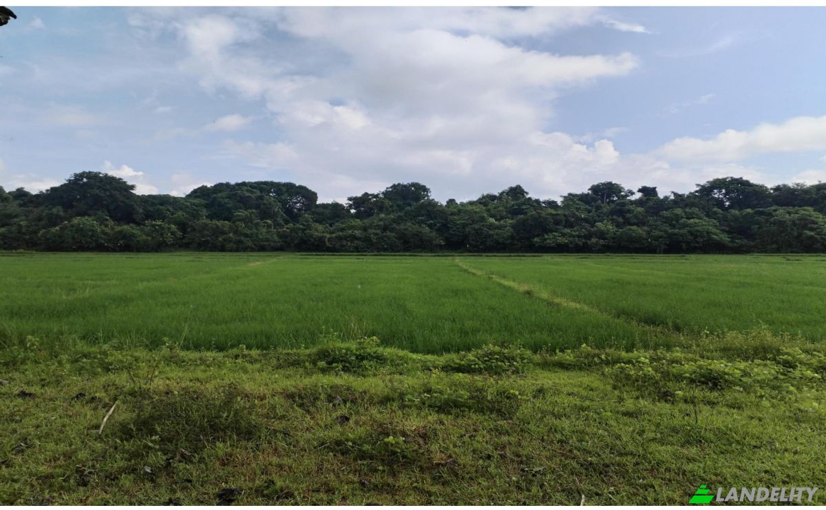 Investing/Development for Sale Palauig, Zambales, Central Luzon, Philippines. Photo 9