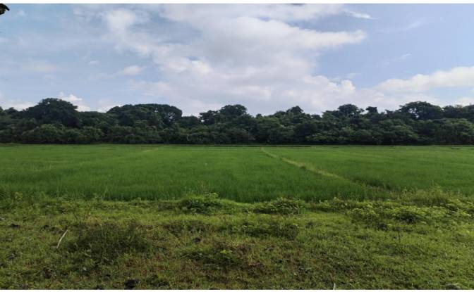 Investing/Development for Sale Palauig, Zambales. Photo#9