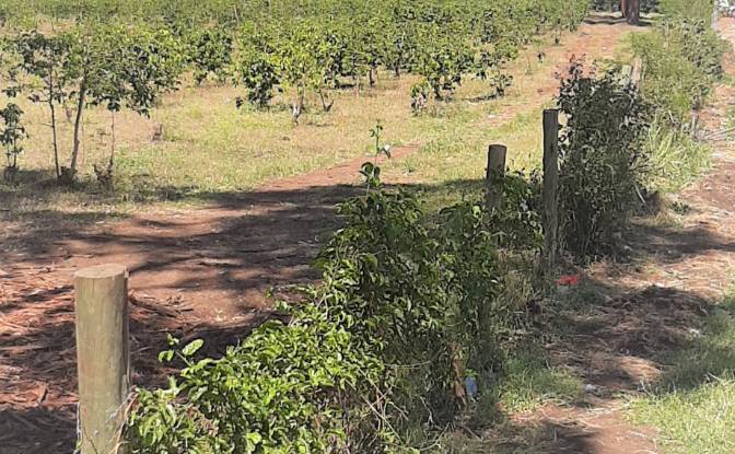 Investing/Development for Sale - Makuyu, Kenya