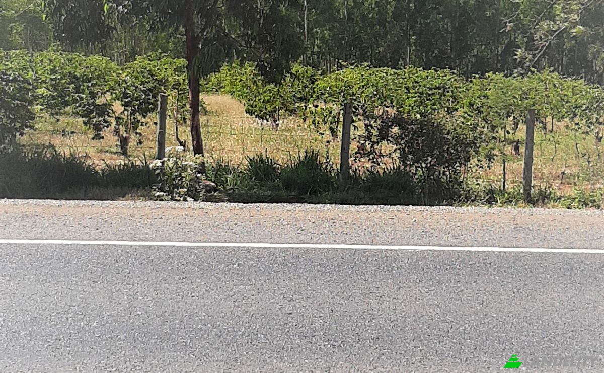 Investing/Development for Sale Makuyu, Muranga County, Kenya. Photo 3