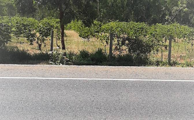 Investing/Development for Sale Makuyu. Photo#3 Investing/Development for Sale Makuyu. Photo#3