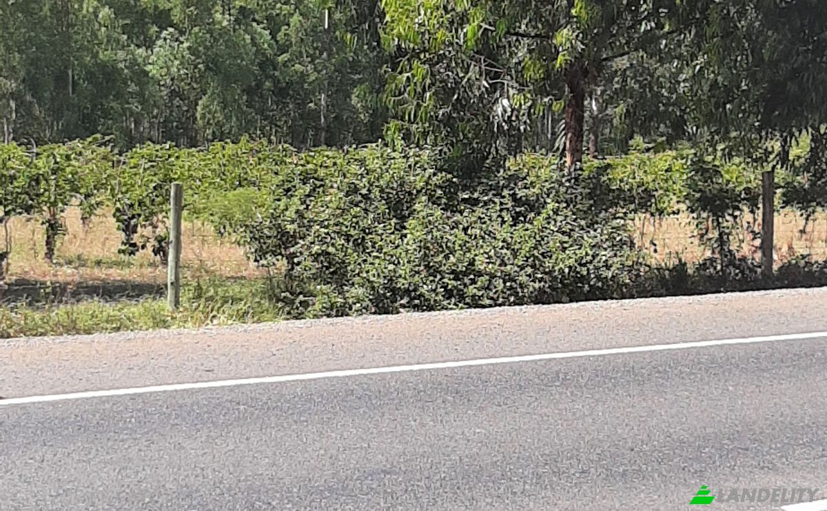 Investing/Development for Sale Makuyu, Muranga County, Kenya. Photo 4