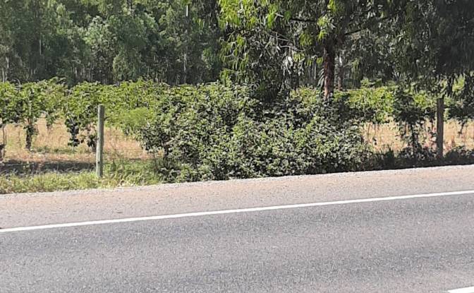 Investing/Development for Sale Makuyu. Photo#4 Investing/Development for Sale Makuyu. Photo#4