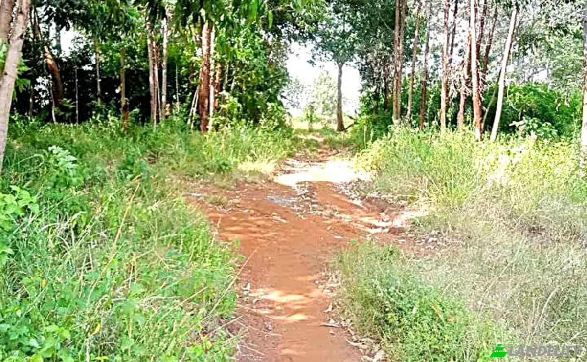 Investing/Development for Sale Makuyu, Muranga County, Kenya. Photo 4