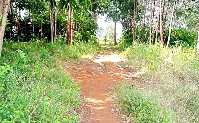 Investing/Development for Sale Makuyu. Photo#4 Investing/Development for Sale Makuyu. Photo#4