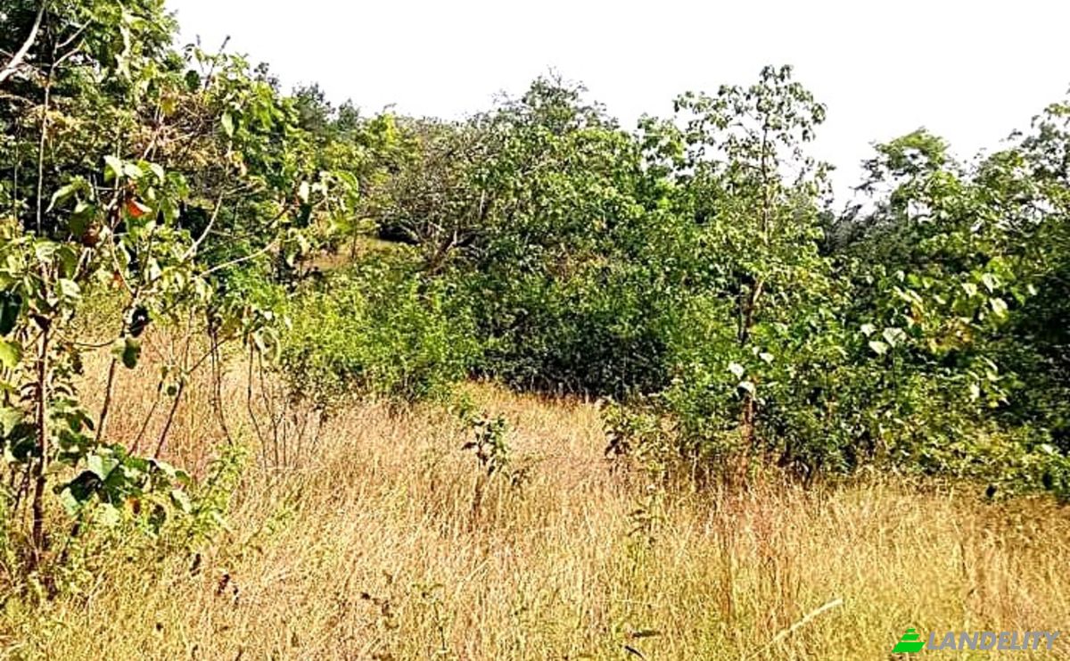 Investing/Development for Sale Makuyu, Muranga County, Kenya. Photo 5