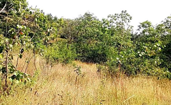 Investing/Development for Sale Makuyu. Photo#5 Investing/Development for Sale Makuyu. Photo#5