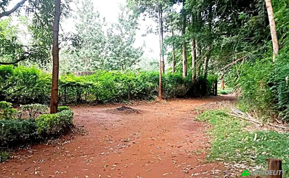 Investing/Development for Sale Makuyu, Muranga County, Kenya. Photo 6