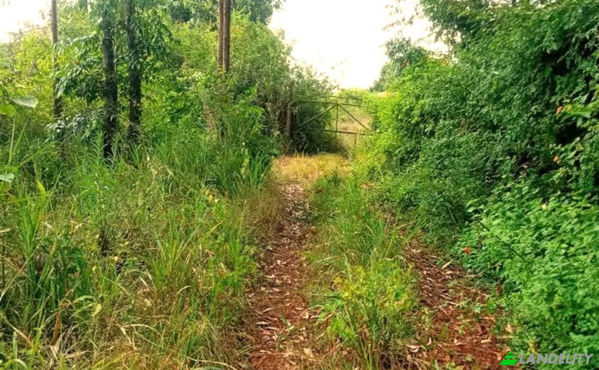 Investing/Development for Sale Makuyu, Muranga County, Kenya. Photo 3