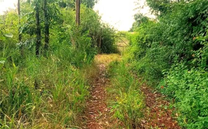 Investing/Development for Sale Makuyu. Photo#3 Investing/Development for Sale Makuyu. Photo#3