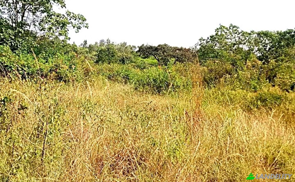 Investing/Development for Sale Makuyu, Muranga County, Kenya. Photo 1