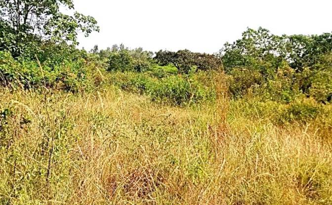 Investing/Development for Sale - Makuyu, Kenya
