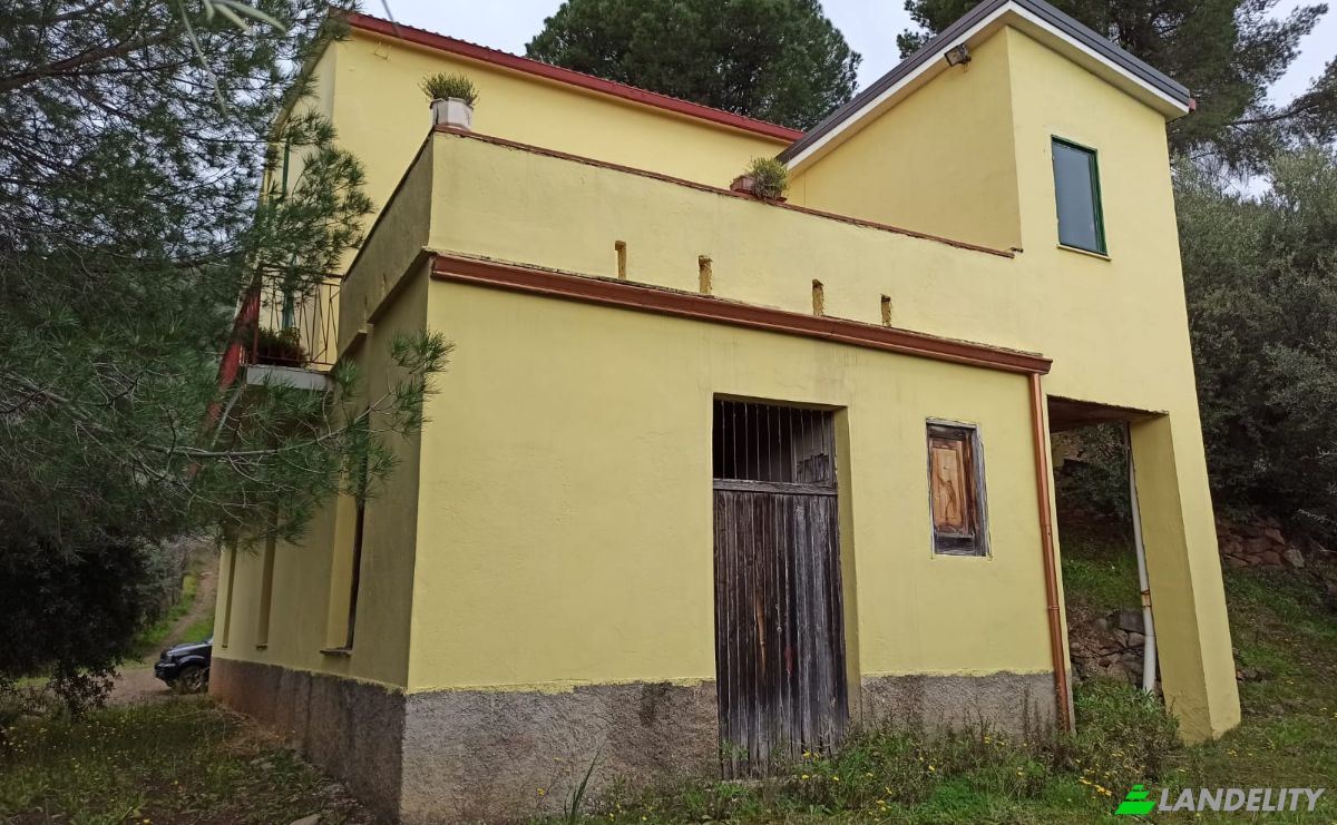 Investing/Development for Sale SP250, 87067 Corigliano-Rossano CS, Corigliano-Rossano, Province of Cosenza, Calabria, Italy. Photo 12