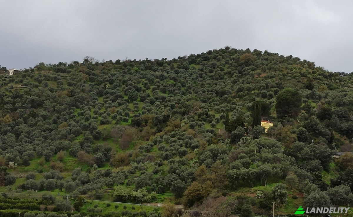 Investing/Development for Sale SP250, 87067 Corigliano-Rossano CS, Corigliano-Rossano, Province of Cosenza, Calabria, Italy. Photo 13