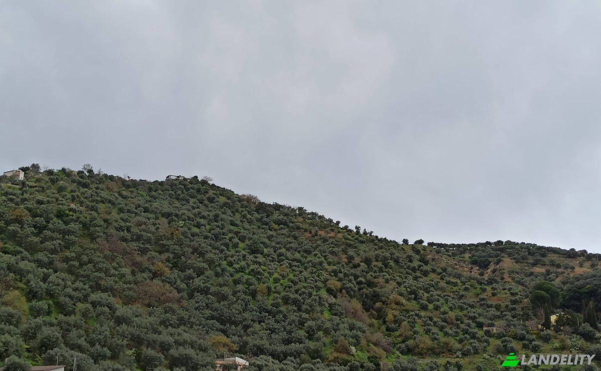Investing/Development for Sale SP250, 87067 Corigliano-Rossano CS, Corigliano-Rossano, Province of Cosenza, Calabria, Italy. Photo 14