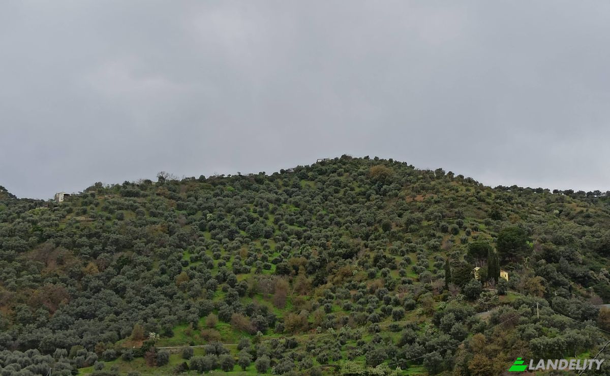 Investing/Development for Sale SP250, 87067 Corigliano-Rossano CS, Corigliano-Rossano, Province of Cosenza, Calabria, Italy. Photo 15