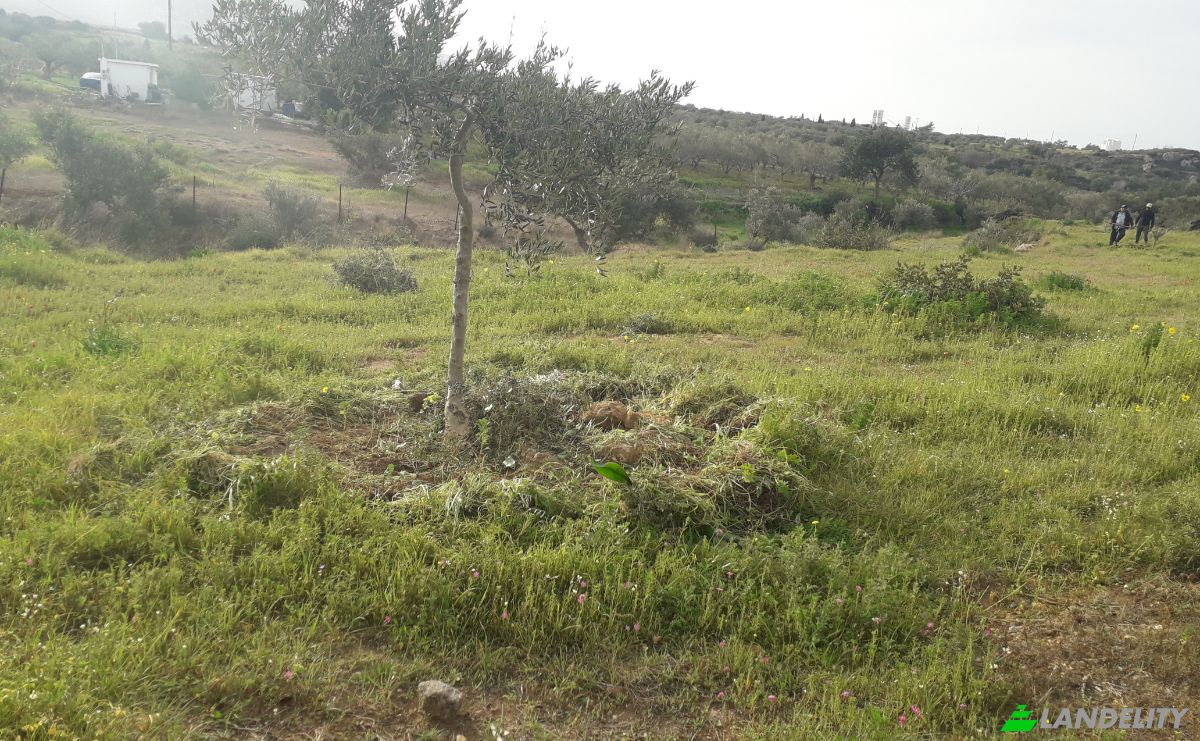 Земельна ділянка продаж Odos Hvris Onomasia, Voia 230 53, Neapoli Voion, Peloponnese Region, Decentralized Administration of Peloponnese, Western Greece and the Ionian, Greece. Фото 1