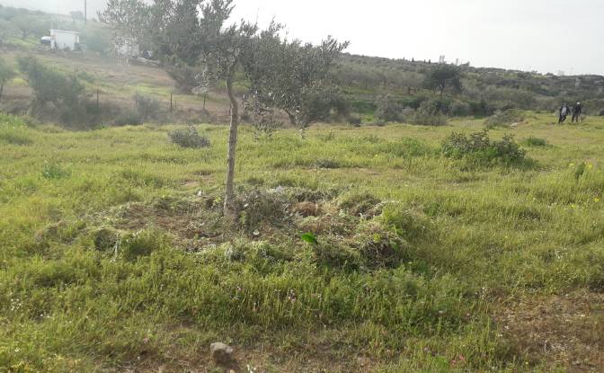 Land Lot for Sale - Neapoli Voion, Greece