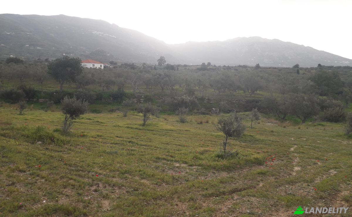 Земельна ділянка продаж Odos Hvris Onomasia, Voia 230 53, Neapoli Voion, Peloponnese Region, Decentralized Administration of Peloponnese, Western Greece and the Ionian, Greece. Фото 2