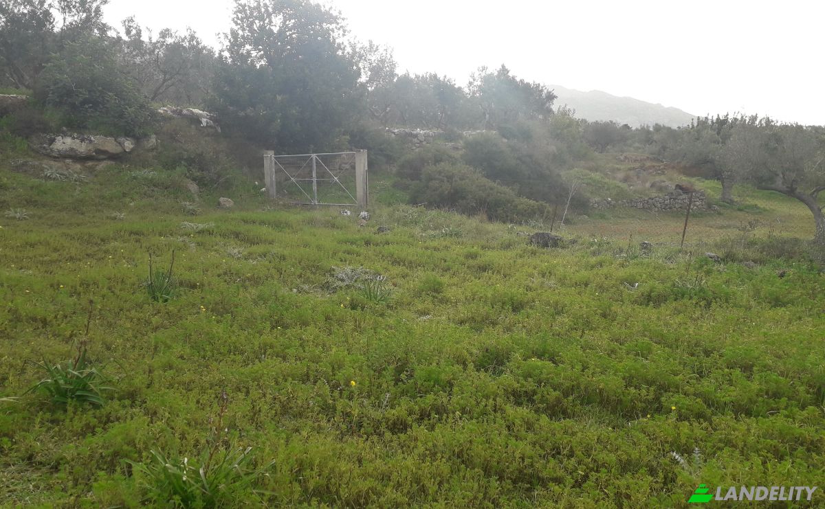 Земельна ділянка продаж Odos Hvris Onomasia, Voia 230 53, Neapoli Voion, Peloponnese Region, Decentralized Administration of Peloponnese, Western Greece and the Ionian, Greece. Фото 4