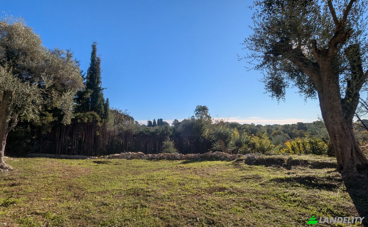 Lote de terreno à venda 96 Imp des Fabronettes, 06330 Roquefort-les-Pins, Roquefort-les-Pins, Alpes-Maritimes, Provence-Alpes-Cote dAzur, France. foto 1