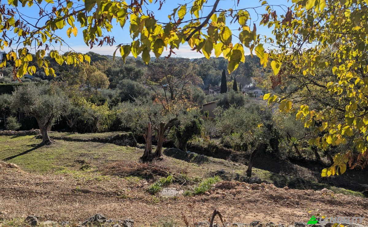 Lote de terreno à venda 96 Imp des Fabronettes, 06330 Roquefort-les-Pins, Roquefort-les-Pins, Alpes-Maritimes, Provence-Alpes-Cote dAzur, France. foto 7