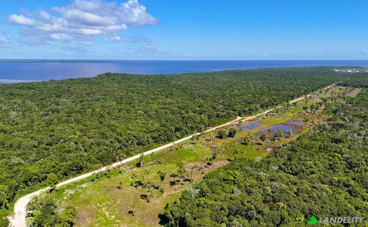 Land Lot for Sale Copper Bank, Corozal District, Belize. Photo 6