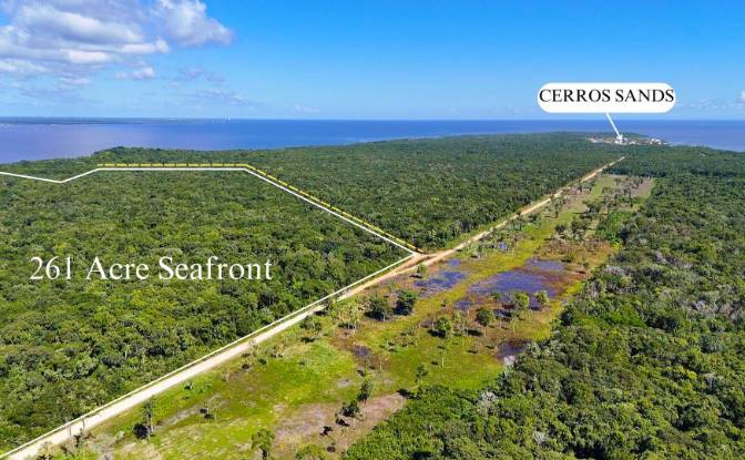 Land Lot for Sale Copper Bank, Corozal District. Photo#2 Land Lot for Sale Copper Bank, Corozal District. Photo#2