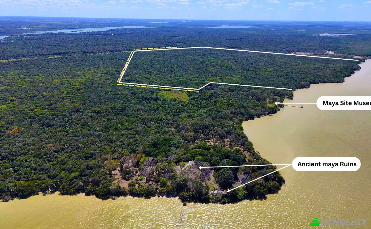Land Lot for Sale Copper Bank, Corozal District, Belize. Photo 4