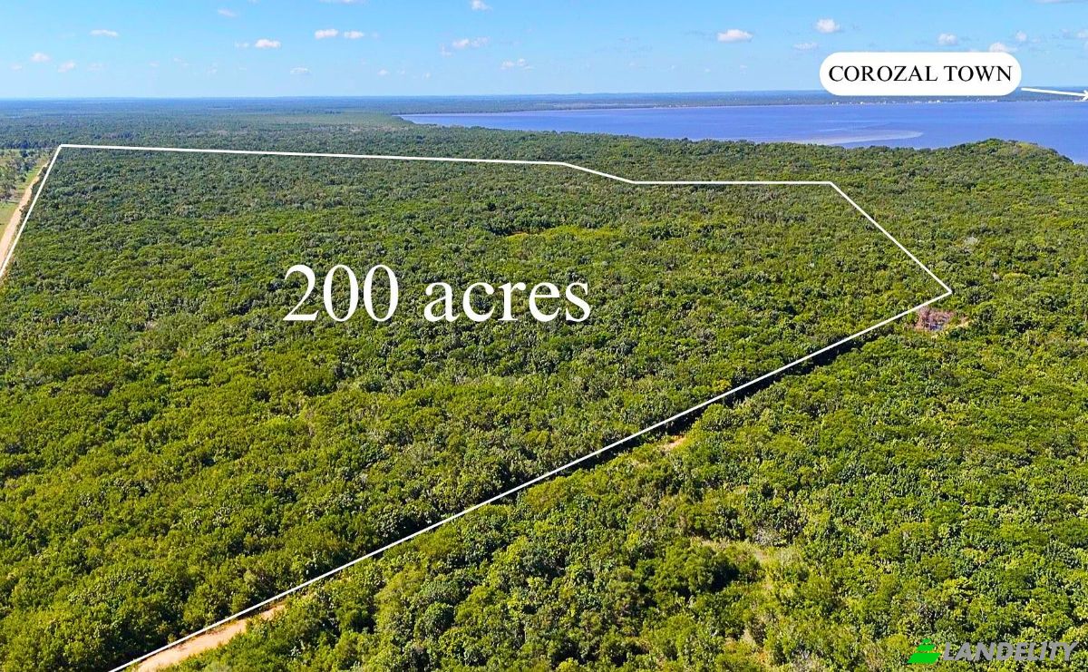 Land Lot for Sale Copper Bank, Corozal District, Belize. Photo 1