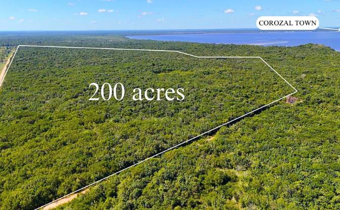 Land Lot for Sale - Copper Bank, Belize
