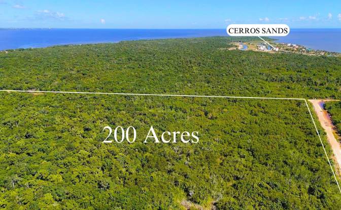 Land Lot for Sale Copper Bank, Corozal District. Photo#2