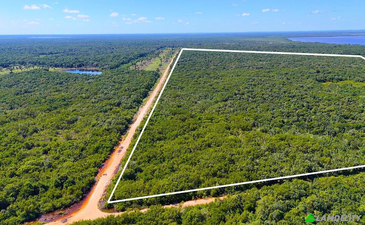Land Lot for Sale Copper Bank, Corozal District, Belize. Photo 3