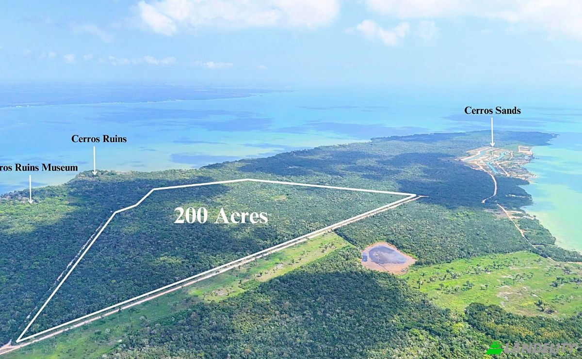 Land Lot for Sale Copper Bank, Corozal District, Belize. Photo 4