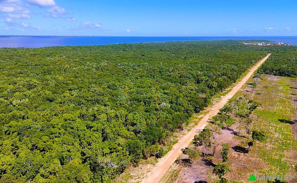 Land Lot for Sale Copper Bank, Corozal District, Belize. Photo 5