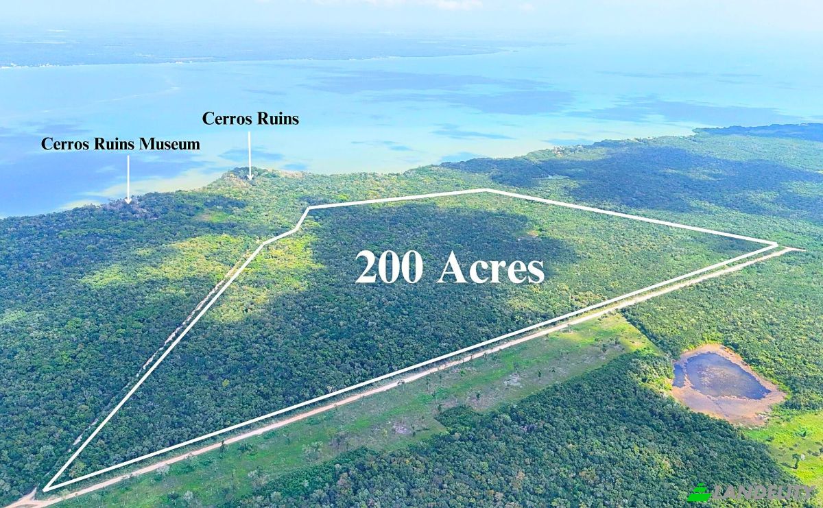 Land Lot for Sale Copper Bank, Corozal District, Belize. Photo 6