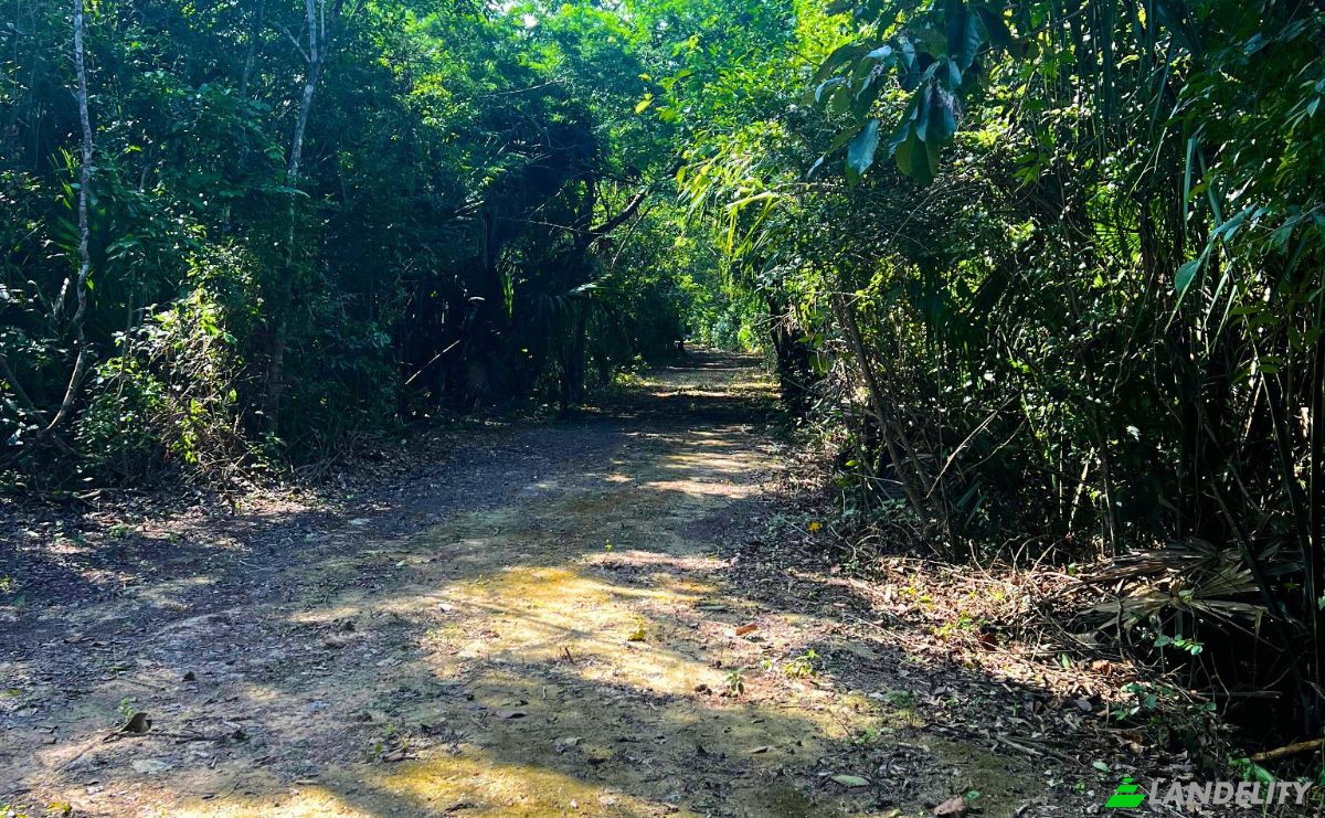 Land Lot for Sale Copper Bank, Corozal District, Belize. Photo 7