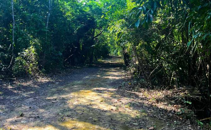 Land Lot for Sale Copper Bank, Corozal District. Photo#7
