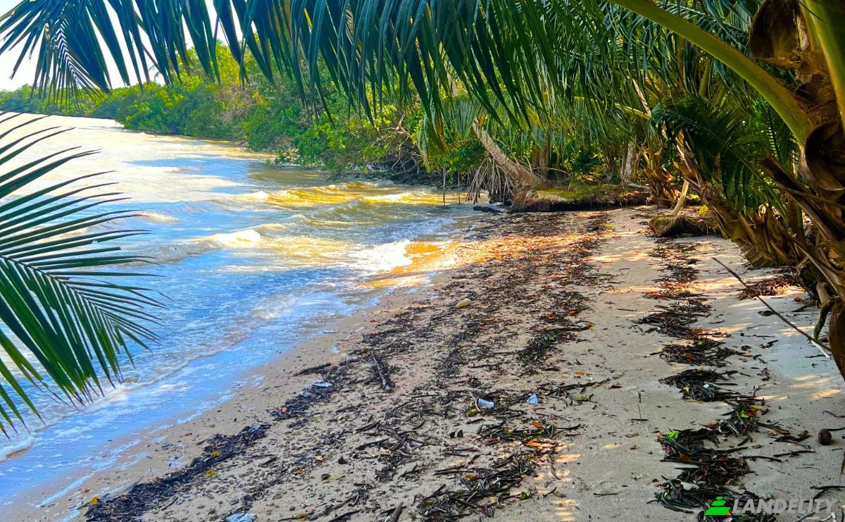 Land Lot for Sale Copper Bank, Corozal District, Belize. Photo 2