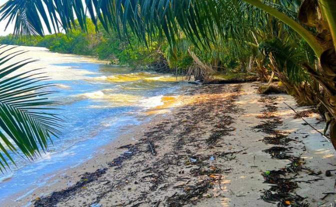 Land Lot for Sale Copper Bank, Corozal District. Photo#2