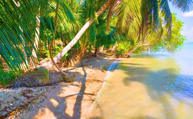 Land Lot for Sale - Copper Bank, Belize