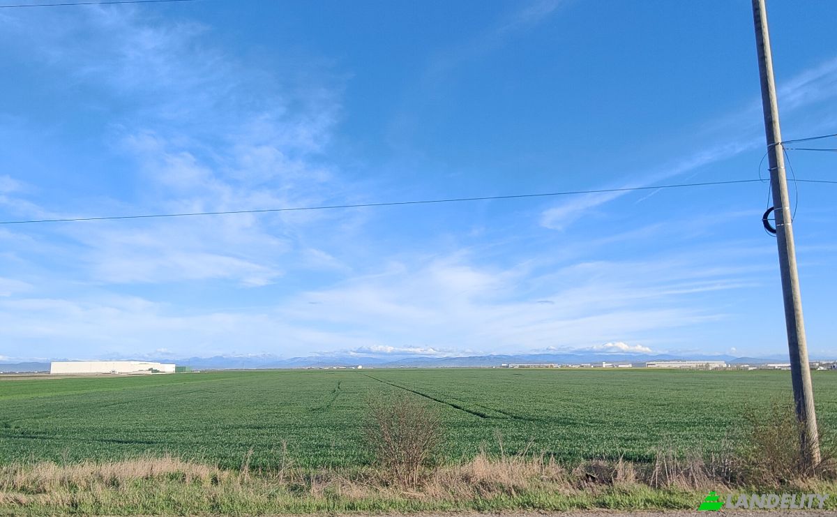 Investing/Development for Sale DN72 23-27, Aricestii Rahtivani 107029, Ploiesti, Aricestii Rahtivani, Prahova, Romania. Photo 4
