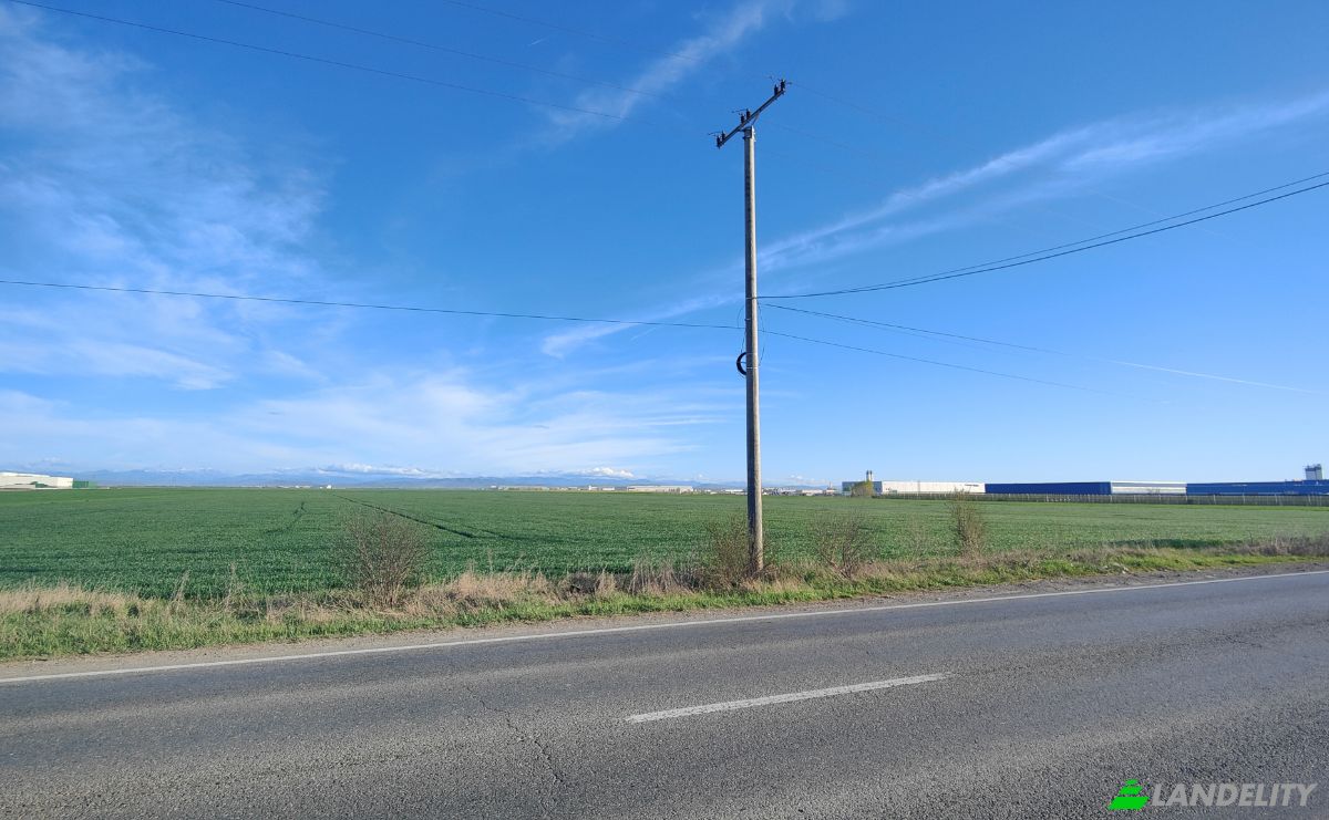 Investing/Development for Sale DN72 23-27, Aricestii Rahtivani 107029, Ploiesti, Aricestii Rahtivani, Prahova, Romania. Photo 5