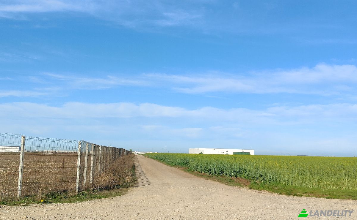 Investing/Development for Sale DN72 23-27, Aricestii Rahtivani 107029, Ploiesti, Aricestii Rahtivani, Prahova, Romania. Photo 7