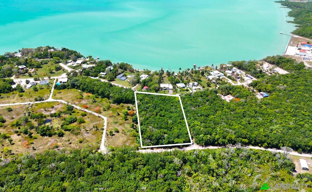 Land Lot for Sale 3 Jaguar Palms Dr, Consejo, Corozal District, Belize. Photo 4